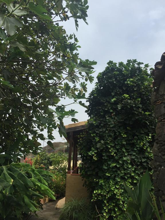 Casa Rural Las Rosas Agulo Exterior photo